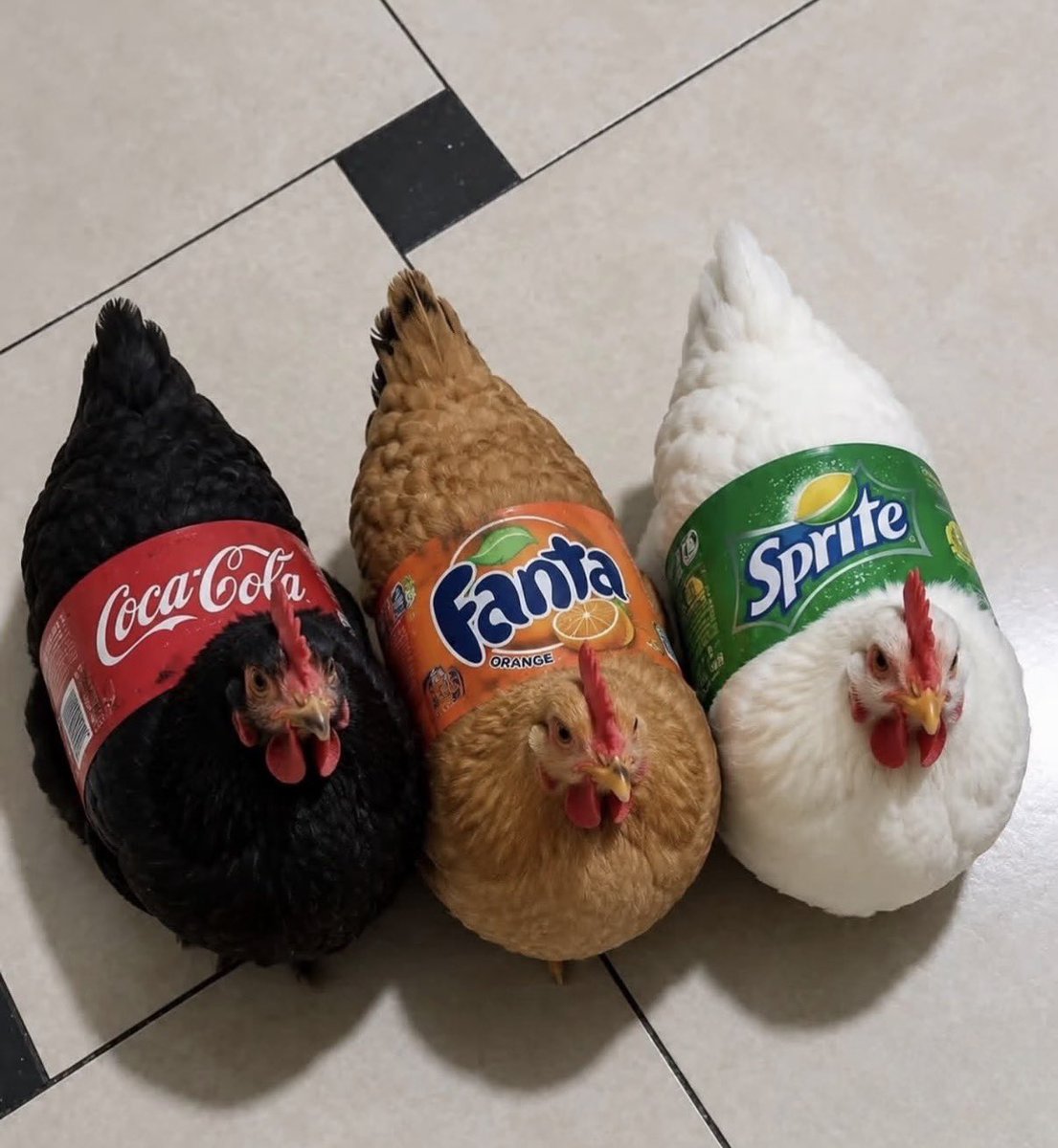 twaniimals's tweet photo. https://t.co/OZuz7qAGKo