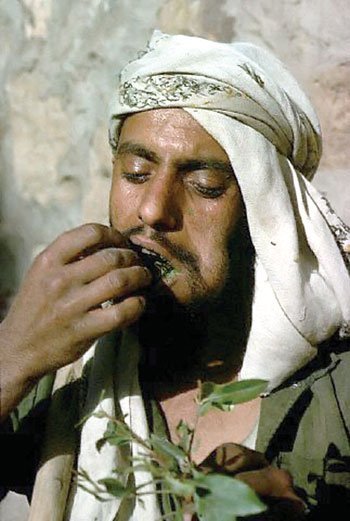 OsipShirovsky's tweet photo. حالا یونجه رو قراره فقط خودشون بخورن یا گوساله‌های یمن هم قراره ازش بخورن؟ https://t.co/ks5PlHxsHl