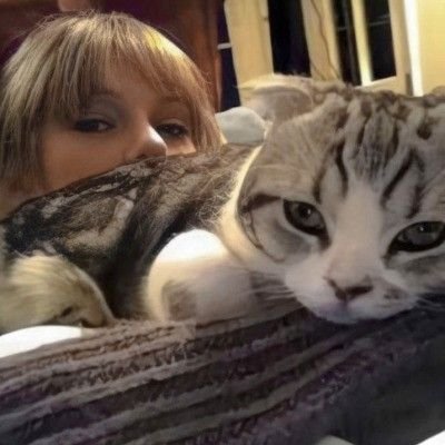 tswiftdailybr's tweet photo. Hoje é dia MUNDIAL dos GATOS! 😺✨ https://t.co/iJxhGbFEGj