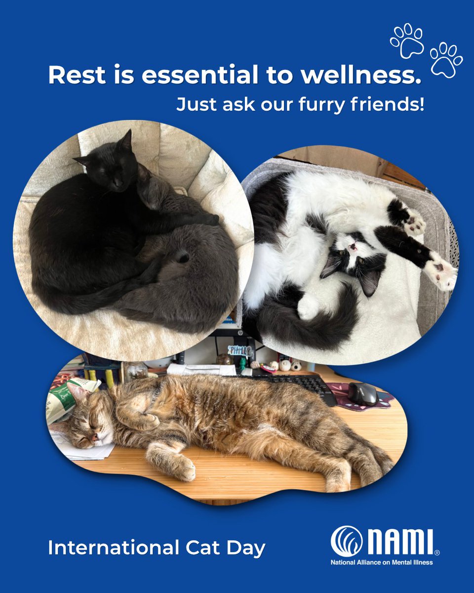 NAMICommunicate's tweet photo. Nobody is better at prioritizing rest than the pets in our lives 🧡 During #NationalWellnessMonth, follow in their pawprints by slowing down. Rest can help your mental health by reducing stress and creating space for recovery and renewal.

For inspiration, swipe to see some of our cutest NAMI staff members in honor of #InternationalCatDay! 🐱