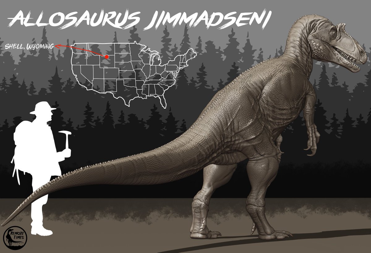 TimesRemot3915's tweet photo. Allosaurus jimmadseni es uno de mis dinosaurios favoritos. Recuerdo ver el especial de Caminando con Dinosaurios, dedicado al espécimen MOR693, llamado Big Al y fascinarme con la vida tan dura de los Allosaurus. https://t.co/E68Lqu1j9S