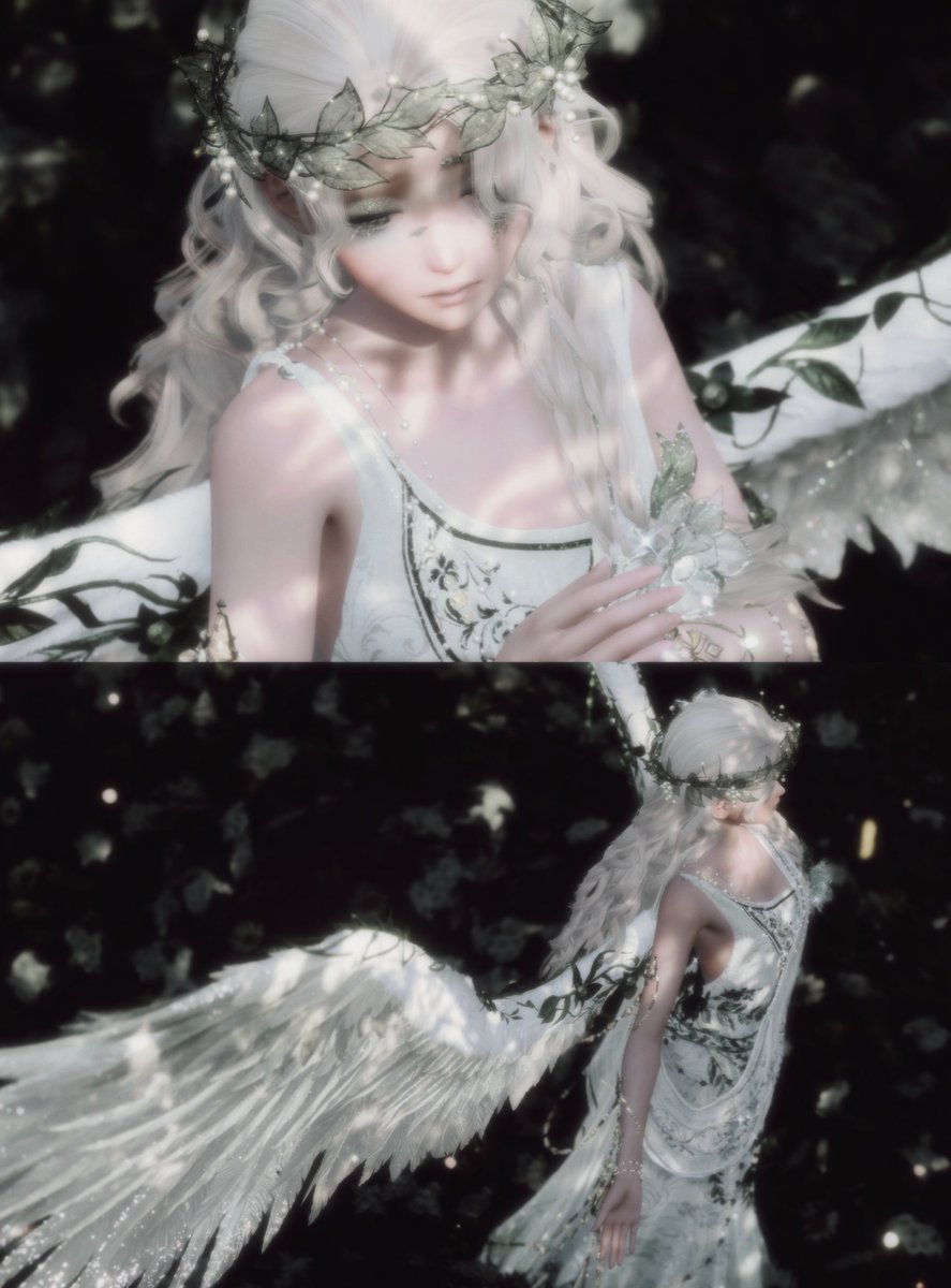 bewitchvd's tweet photo. touched by light https://t.co/QKdq6Z3Yff