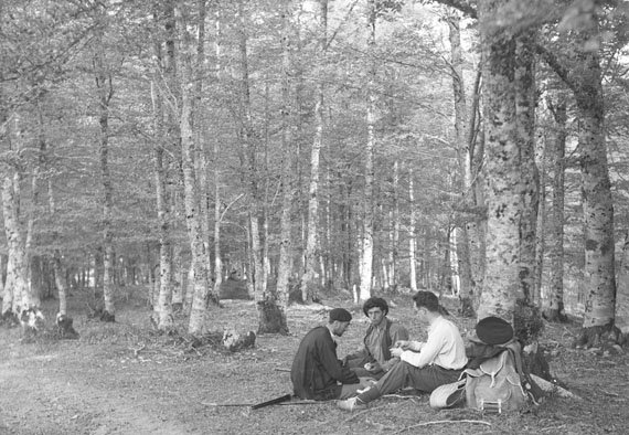 aharilaboratory's tweet photo. Aralar. Bosque de "Albi" (goxari txiki)
Elósegui Irazusta, Jesús
ARANZADI
1934-10-26
Erreferentzia
JEI (6x9) 023R-0982R https://t.co/nqtLxFpQSI