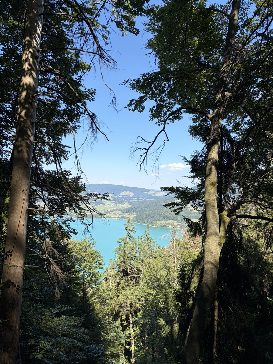 dilip_0235's tweet photo. ALL ABOUT TODAY!! 

Nice Hike up to St.Lorenz in Upper Austria. https://t.co/MFG7QdJlYZ