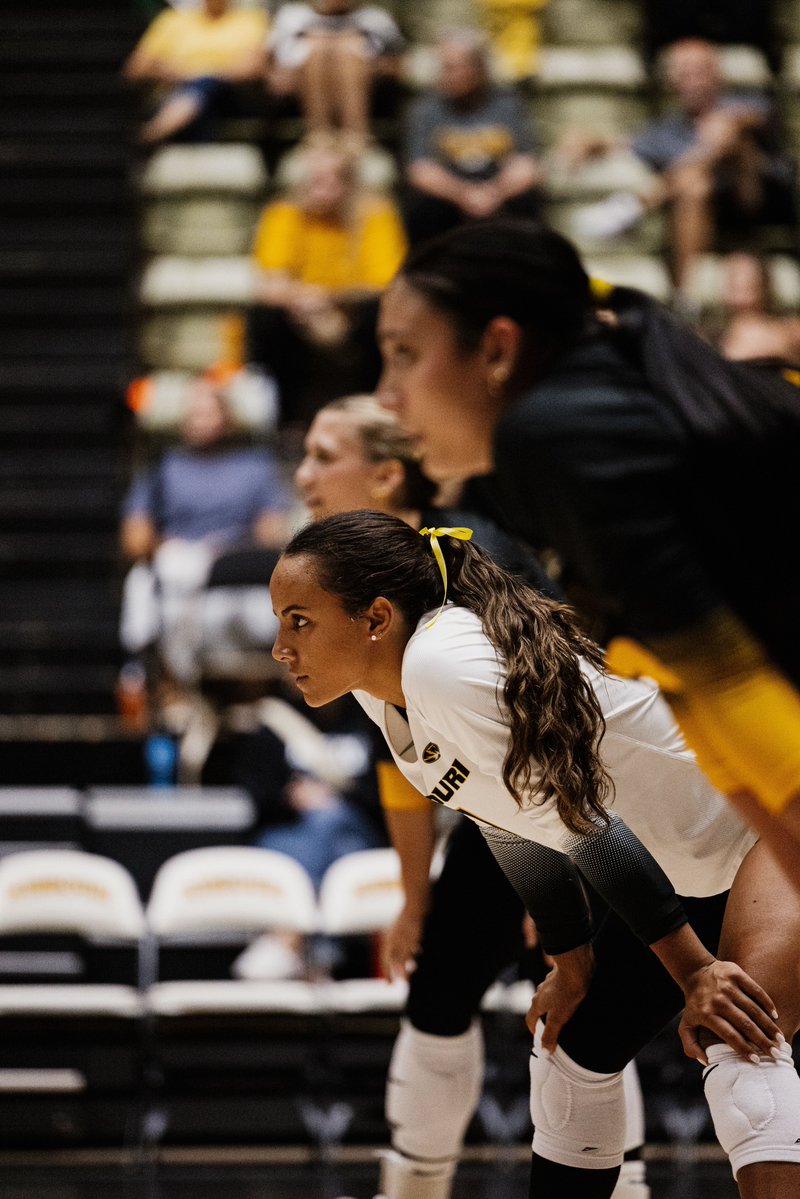 MizzouVB tweet picture