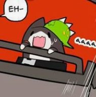 dailyduri's tweet photo. Late to world cat day 😿 https://t.co/KExOXYByWW
