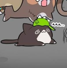 dailyduri's tweet photo. Late to world cat day 😿 https://t.co/KExOXYByWW