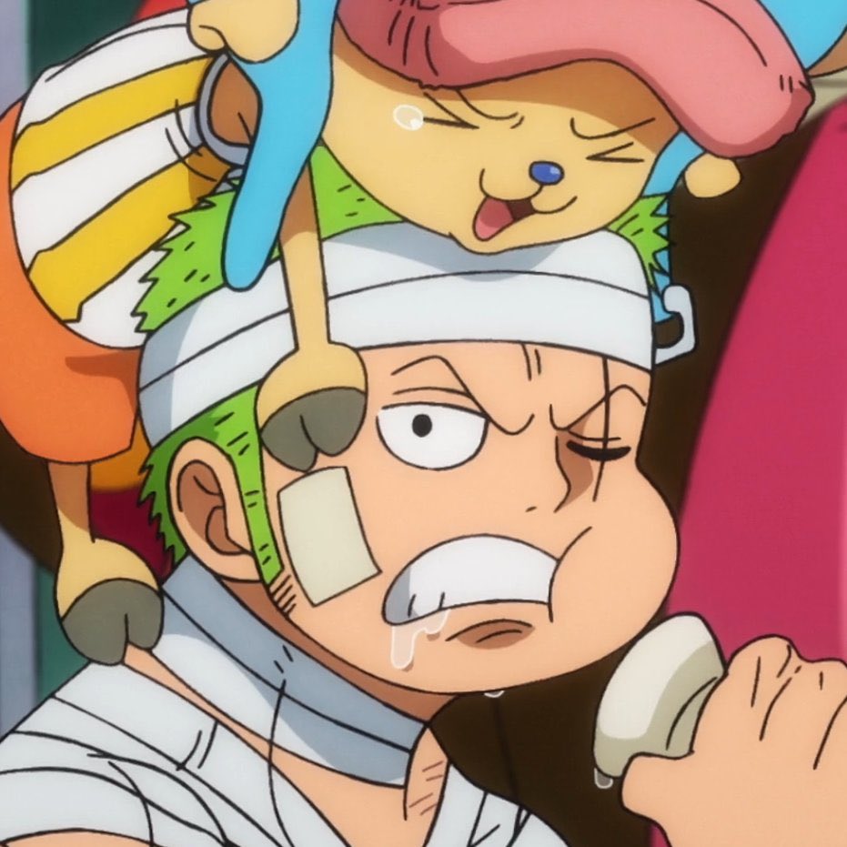 zoIuz's tweet photo. i love how round zoro is…my cutie https://t.co/5c3tzAPH2h