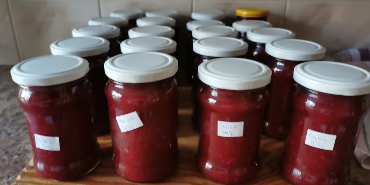 podkarpatka's tweet photo. Korzeń chrzanu,tarty na tarce,
łzy z oczu obficie wyciskał.
Lecz bez niego ćwikła jest mdła!
Gdy połączyły się razem,w miłosnym,mocnym uścisku. Powstała głęboka purpura,co zimą ożywi schaby, pasztety,indyki.
W słoiczkach rzędem stanęły,
Czekają na zimę,na swoją chwilę właściwą. https://t.co/9puOwRMfeT