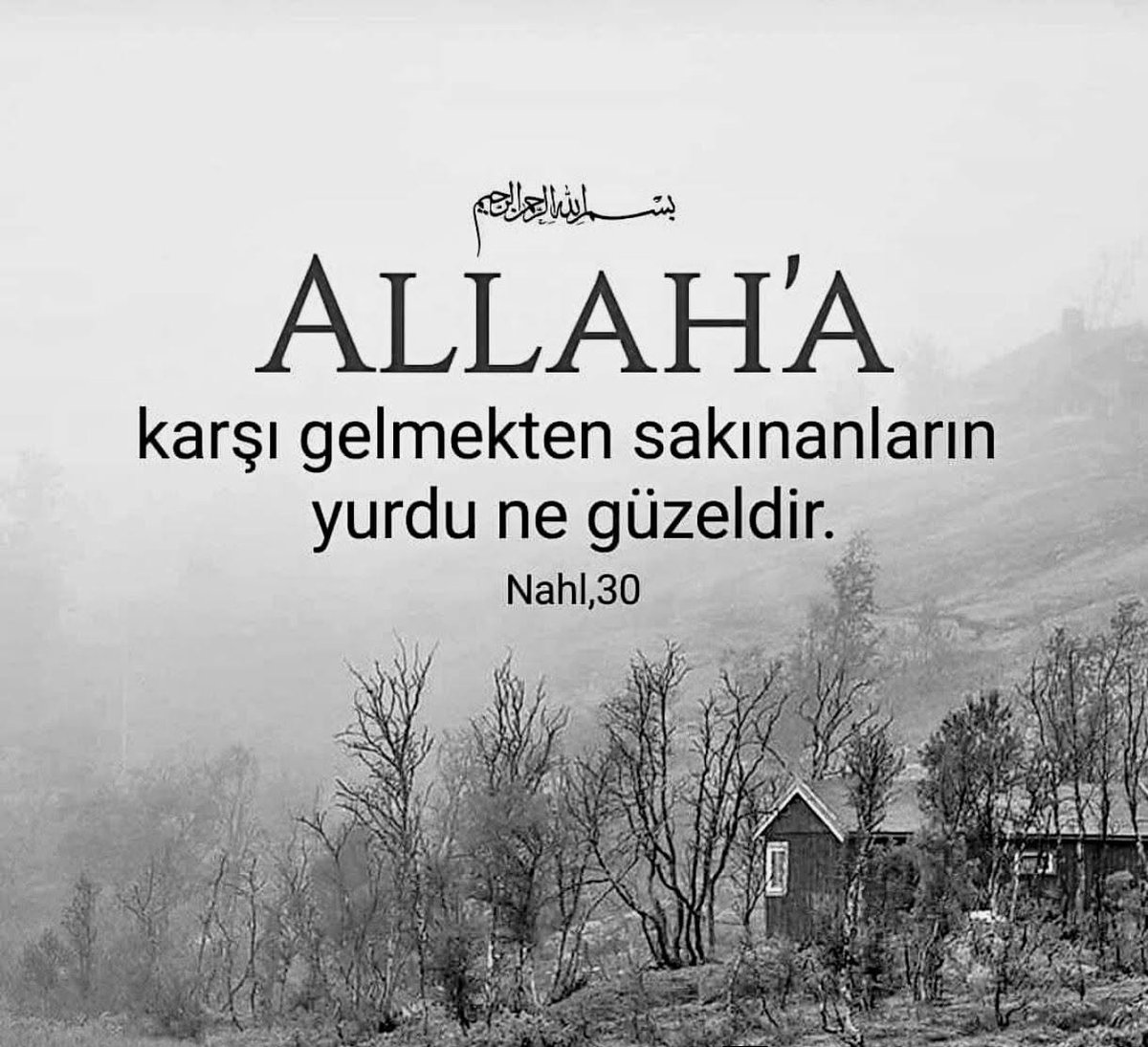OzGur2019's tweet photo. https://t.co/OydsJXSAwJ