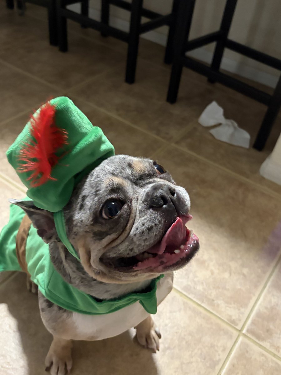 WishboneHood's tweet photo. one dog at a time 

soon every dog in the world 

$WISHBONE https://t.co/WgY4nMuK11