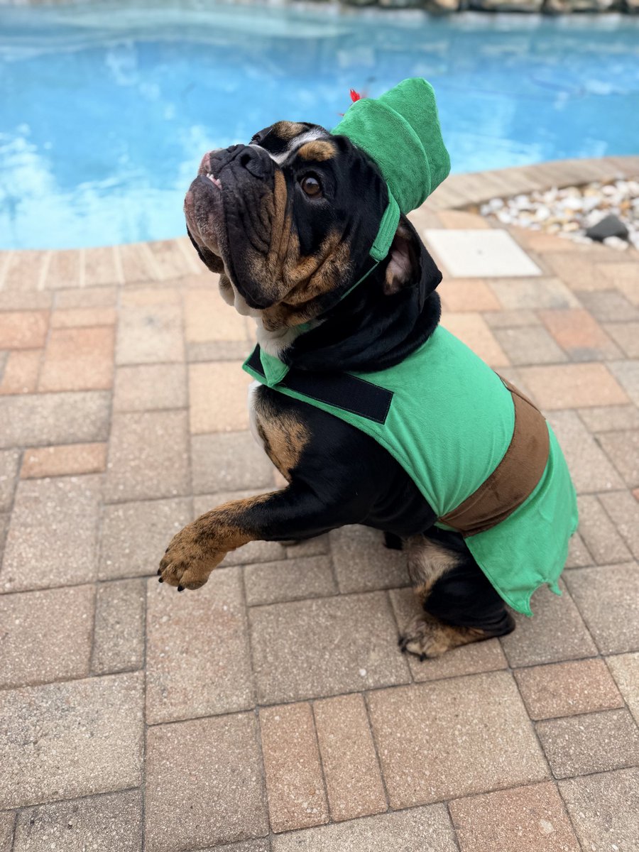 WishboneHood's tweet photo. one dog at a time 

soon every dog in the world 

$WISHBONE https://t.co/WgY4nMuK11