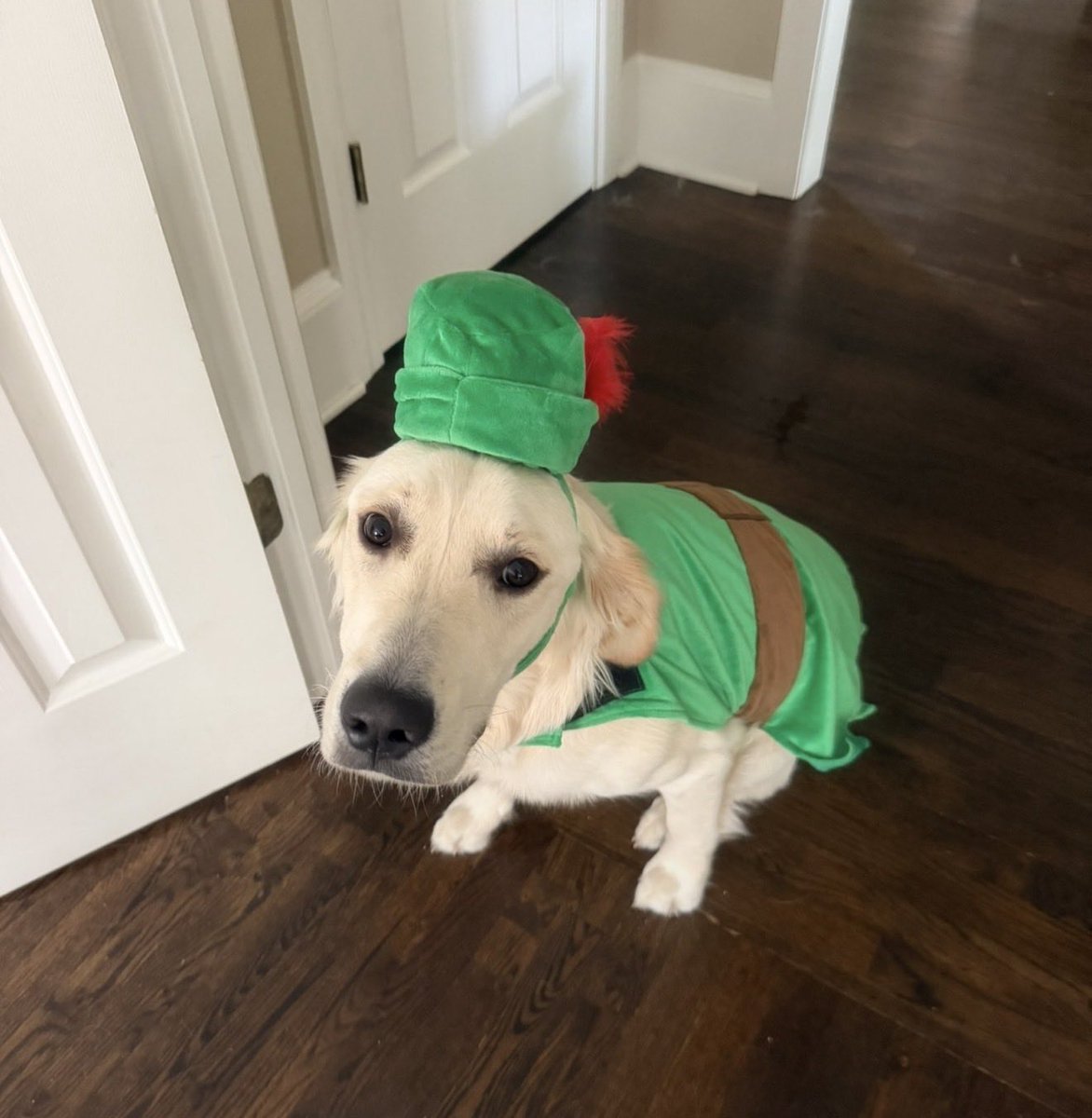WishboneHood's tweet photo. one dog at a time 

soon every dog in the world 

$WISHBONE https://t.co/WgY4nMuK11