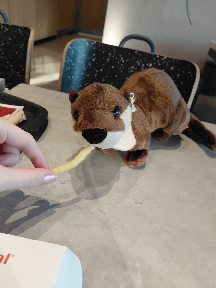 i124ui's tweet photo. Otters... https://t.co/SdWL0WwnGQ