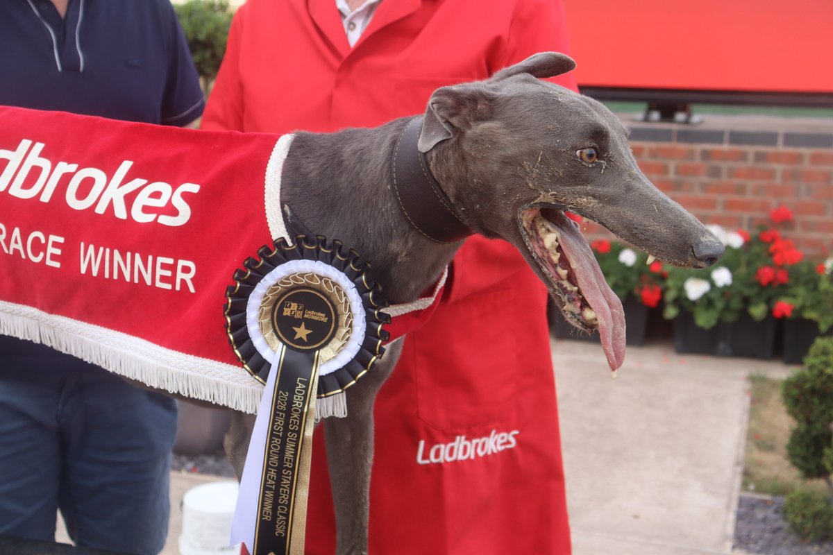 Monmoredogs's tweet photo. Ladbrokes Summer Stayers Classic 2026 Heat Two Result 🏆

🥇 Malcolm Bosh
🥈 Droopys Deploy
🥉 Zenith Pasha

Winning Time ⏱️ - 38.71secs https://t.co/L9eL3Nfsnk