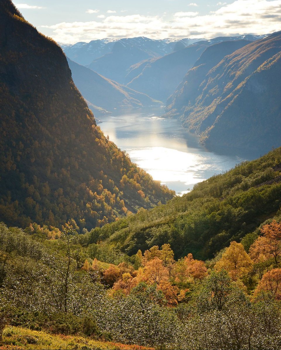 ScandinavianAE's tweet photo. Norway 🇳🇴 https://t.co/4BzaObznoO