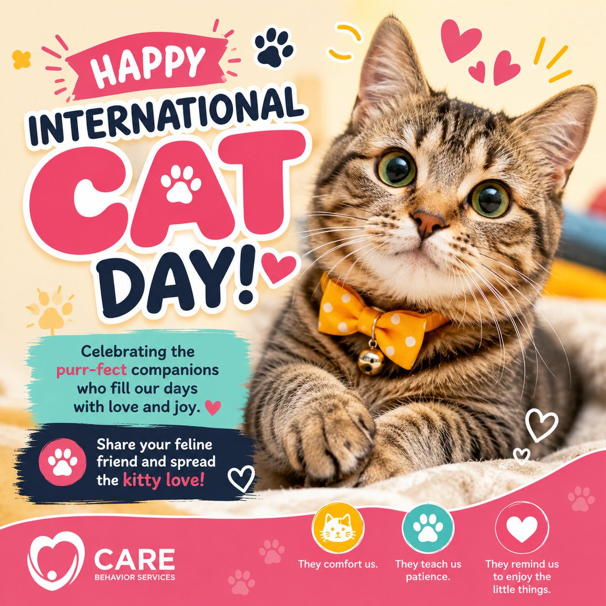 CAREunderstands's tweet photo. 🐾💙 Happy International Cat Day!
Celebrating the little moments of joy, comfort &amp; connection our furry friends bring. Just like in ABA, these everyday interactions help build calm, trust &amp; meaningful progress. 🐱✨

#InternationalCatDay  #ABAtherapy #Autism #Sherman #Sacramento https://t.co/Ej7AFXQsi7