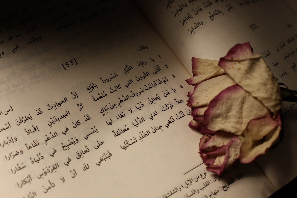ijmm17_'s tweet photo. « يا مَن يُعانِقُ دُنيا لا بَقاءَ لَها . . » https://t.co/DD6y1B4swW
