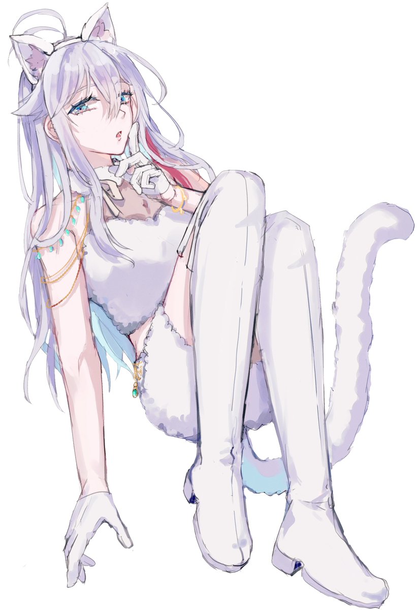 tanuya611's tweet photo. 白猫レーナさん https://t.co/nLH9g7fpA7