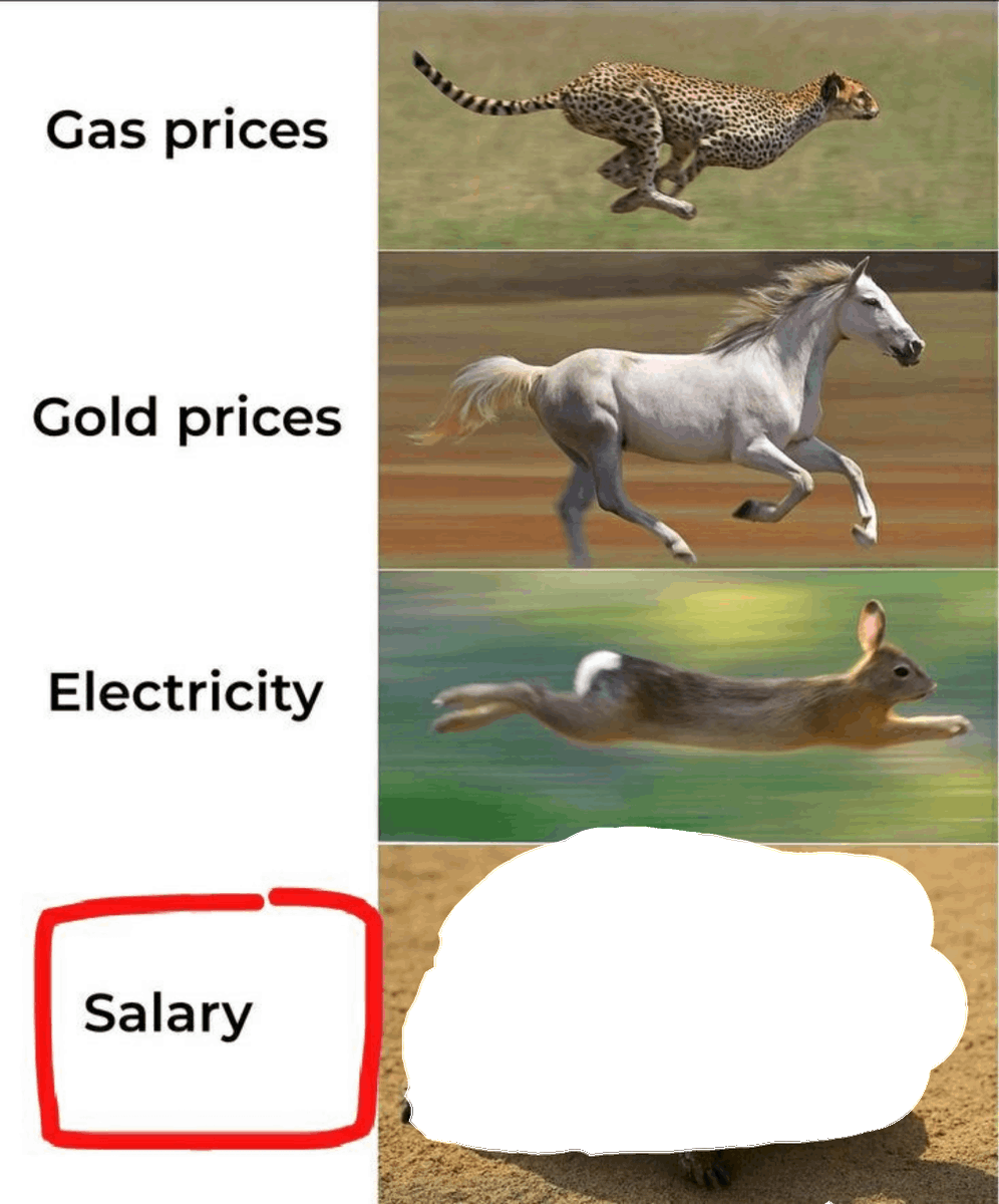 Basam_aza's tweet photo. You cant imagine how fast the salary is https://t.co/exENU2hmjw