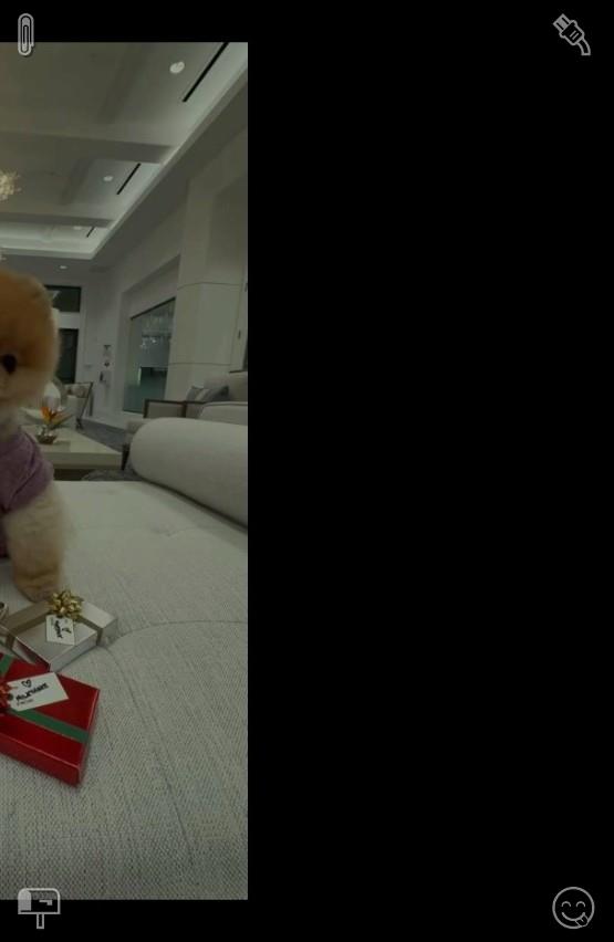 minmin1113k's tweet photo. 🍰Slow down, breathe, and appreciate the beauty of ordinary days.586504Hamster Walk The hamster is active https://t.co/RX6By2rvna