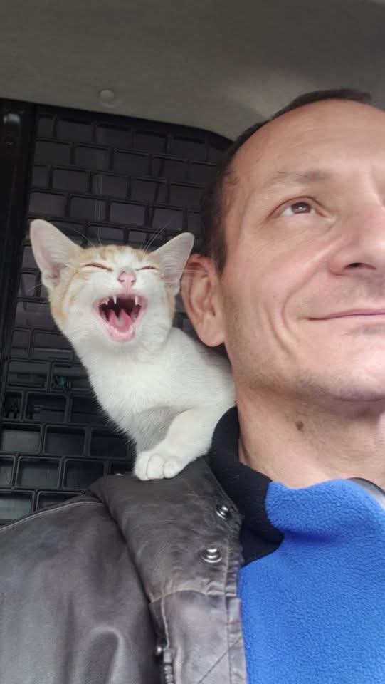 frascaroli's tweet photo. Feliz día internacional del gato 😺 

Dedicado a los seres más maravillosos del universo y a mis adorados hijos no-humanos. https://t.co/oqV254C9Mh