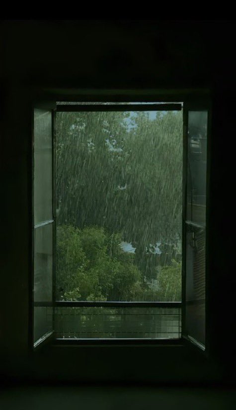 spooky_nature's tweet photo. pouring rain. https://t.co/DIKqsPc8I0