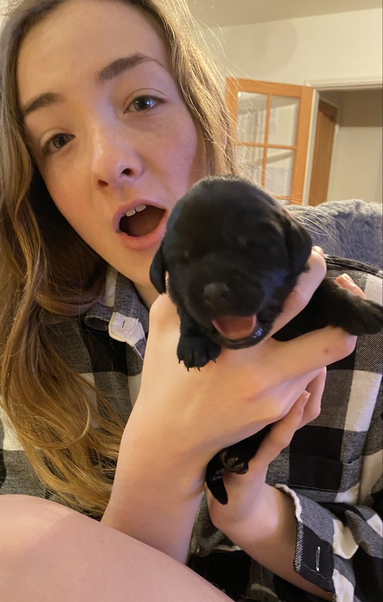 Weggster's tweet photo. Maggie Moo is home 💕
Maggie was the first animal Melissa helped deliver, she’s now the first animal that she has diagnosed with a life threatening infection.
#Pyometra was tiny because it was spotted so early.
So lucky 🍀 ❤️ https://t.co/4UufjO5pXZ
