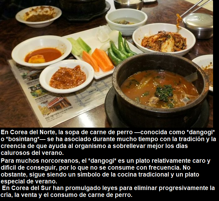 MARINA56501623's tweet photo. #Diversidad culinaria. https://t.co/sWlVnwcDu7