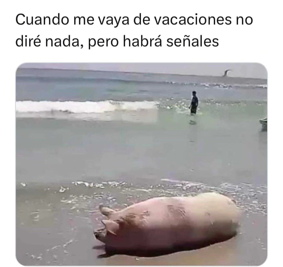 ro__meme's tweet photo. 🤣🤣🤣🤣🤣 https://t.co/6PPxJ1mhcc