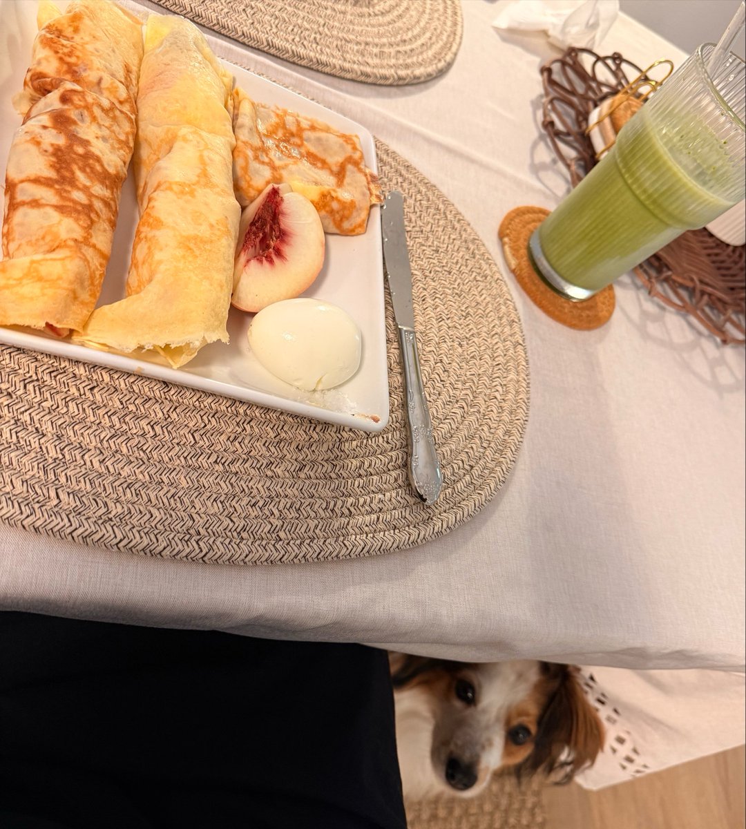 Jelly_twit's tweet photo. 브런치로 크레이프랑 말차라떼를 만들었고 강아지가 궁금하다함 https://t.co/KvimnOy5it