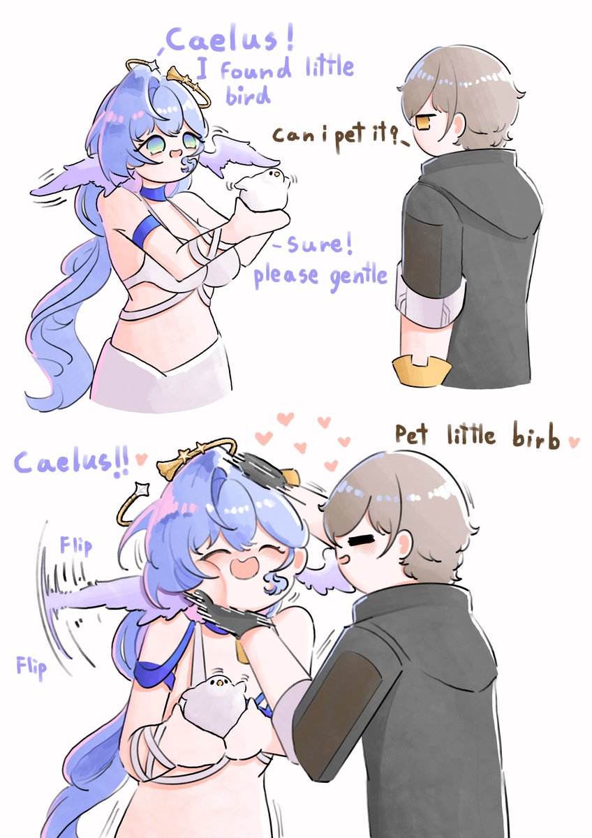 OBGbegom's tweet photo. 🦝💕🐦 https://t.co/kjbk81eedC