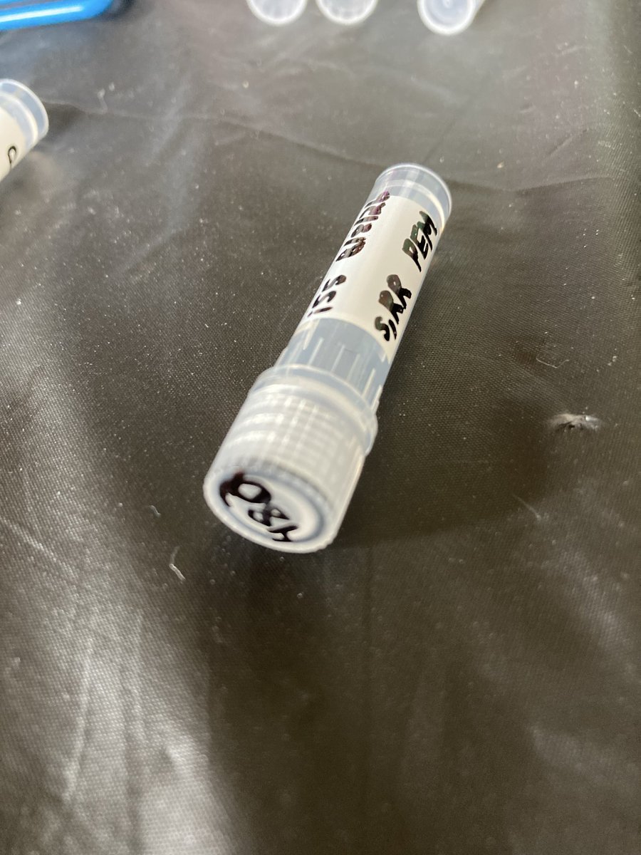 tessfalor's tweet photo. OMG. Last cryotube of #InnovationInn! 482 samples. 😅💪🏻🙌🏻 

This was mine - from a 2nd blood draw of the day because I went downhill fast into full cognitive PEM a few hours after my first draw. We lucked out that the mobile phlebotomist was still here. 

There were many benefits of doing an at-home study like this. Within 10 minutes of fully hitting my cognitive wall, I was sitting with the WAVi EEG on my head with the MIT team ready to test.