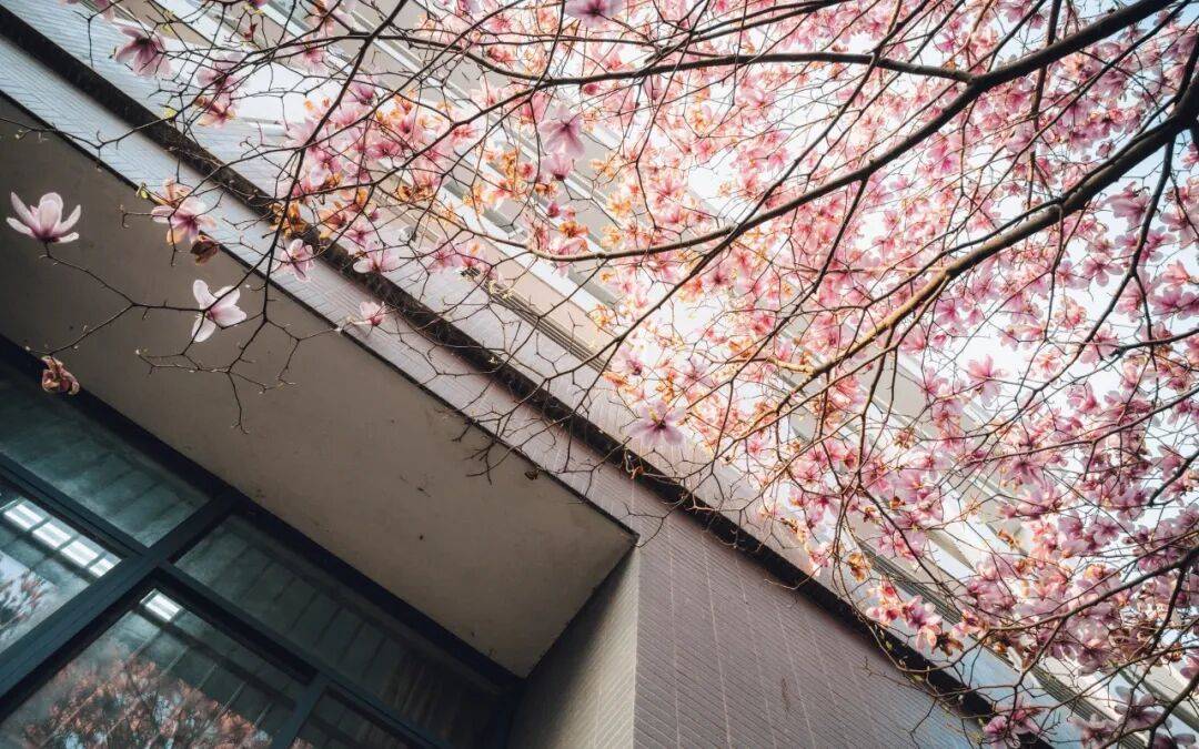 egor1116's tweet photo. Just left campus with my diploma in hand—goodbyes are hard but this fall I’m still chasing that textbook high, just with a new dorm vibe. https://t.co/9vQKFCwjbe