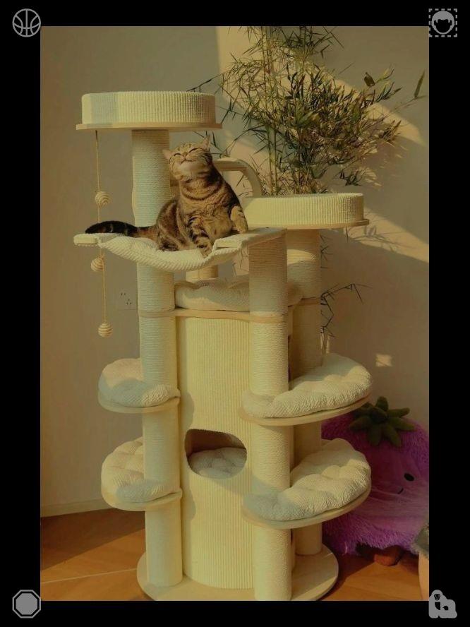 tomjeri1019's tweet photo. 😍Mastery grows through repeated work, success becomes a habit!891788Humorous storybook on the shelf https://t.co/L7GPSaffpD