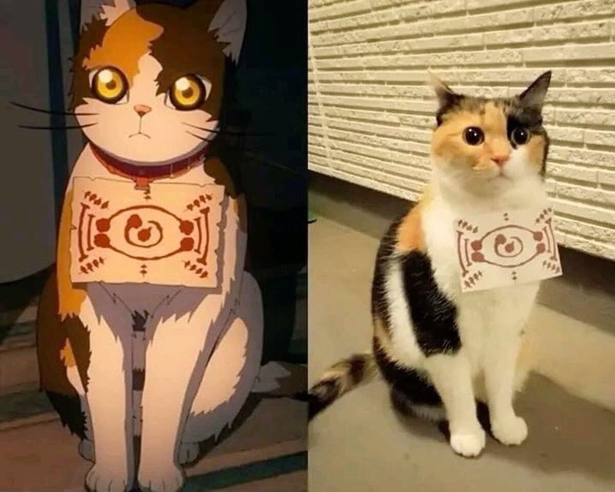 animeposts's tweet photo. The perfect cosplay doesn't ex- https://t.co/TE9WIKDT2o