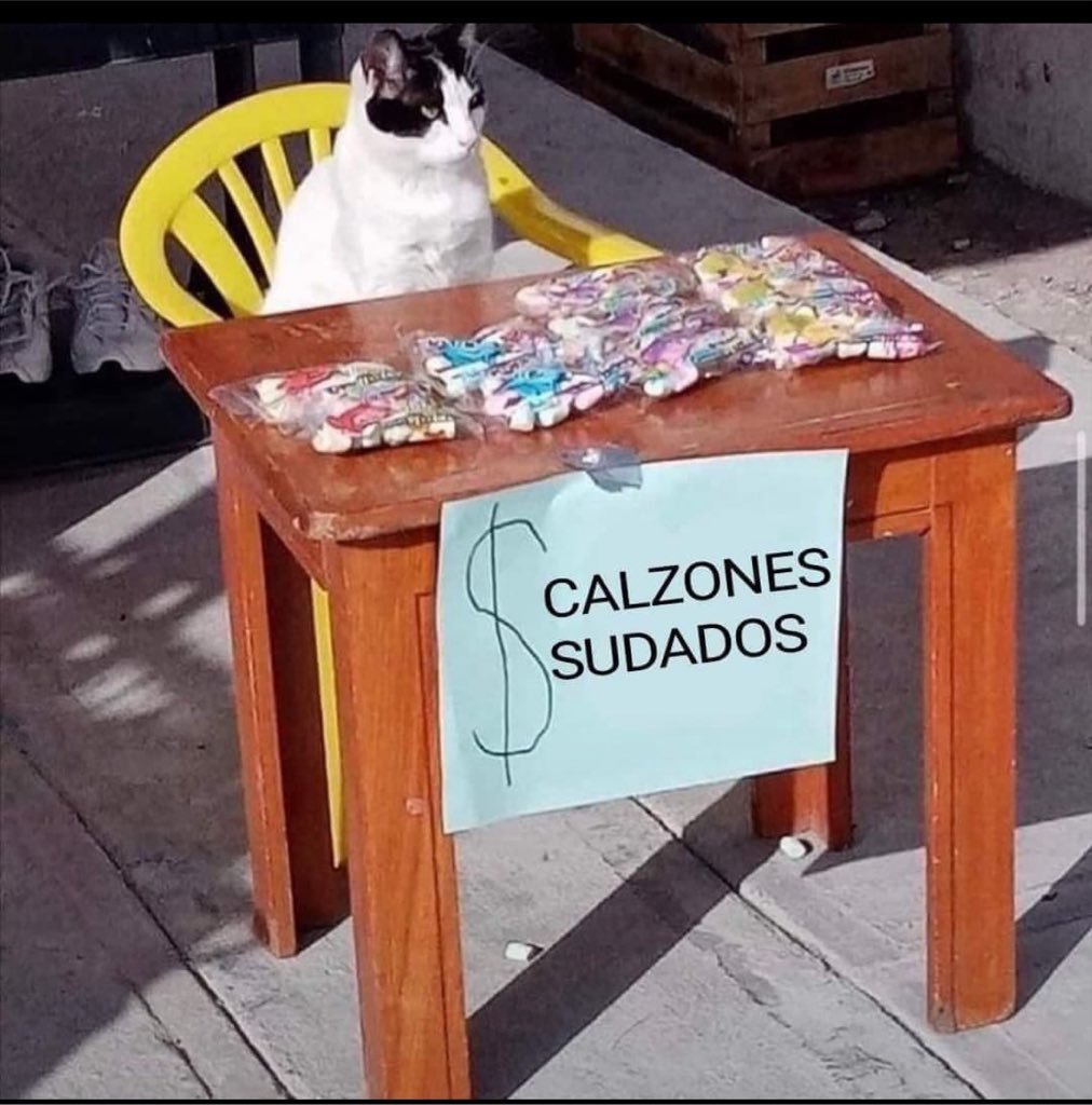 ViviAzul04's tweet photo. https://t.co/RACMgZypGB