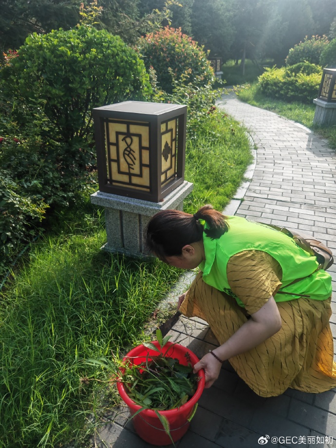 EllaTracyt5li's tweet photo. Join our neighborhood clean-up this Saturday 9AM at Central Park! Bring gloves u0026 stay for free snacks afterward. Let’s make our community shine!， https://t.co/2Mo4VRdxyK