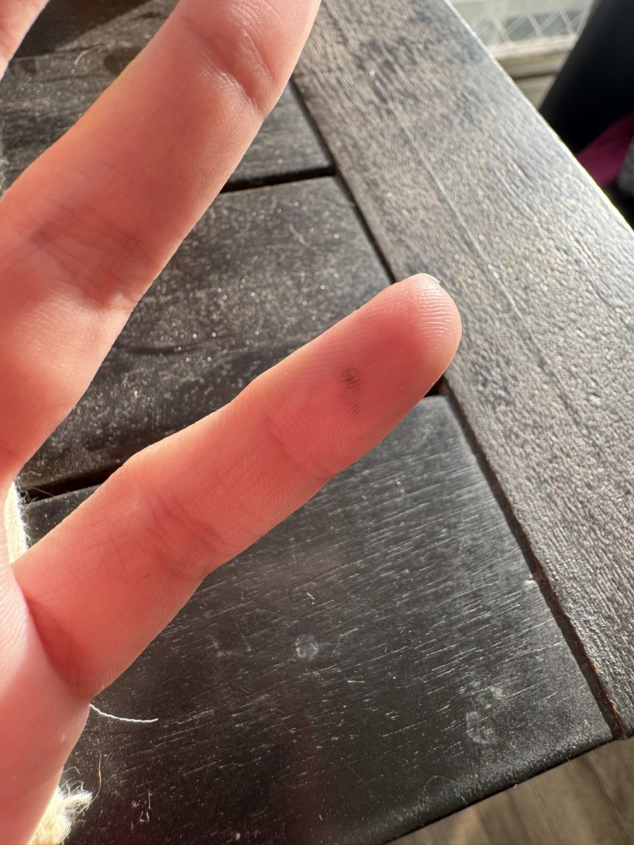 rodriguesgio's tweet photo. Hoje a extensão de mil anos aqui de casa estourou na minha mão kkkkk https://t.co/7Z7ijXPU7U
