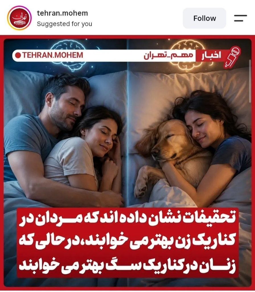 Rapunzelittaaaa's tweet photo. حالا فهمیدین چرا میگفت "بخاطر یه سگ نیست، تو فکر میکنی بخاطر سگه. سگ نیست. اون خیلی ارزشش از تو بیشتره، تو بی‌ ارزشی". https://t.co/n4B36rpeKk