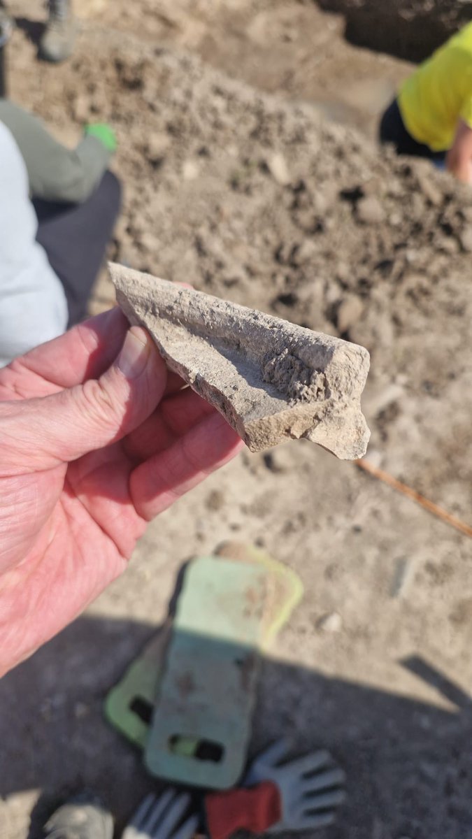 PoultonProject's tweet photo. The find of the day came from the uppermost of the D enclosure. It's a nice rim fragment from a Hammerhead Mortaria produced in the Mancetter-Hartshill area. This kind of vessel was a Roman food mixing bowl dates from the mid 2nd-3rd centuries AD. #roman #mortaria #poultonproject https://t.co/3sj46GiKRP
