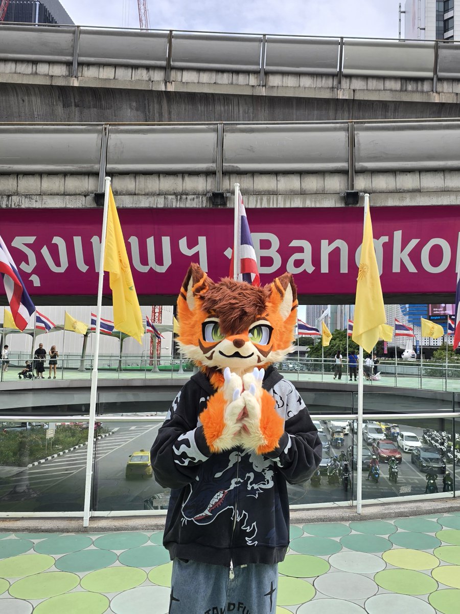 Taima_Tiger's tweet photo. He's visited Bangkok!!
(He doesn't know he lives in Bangkok)

#furry https://t.co/F0FpyBCVK2