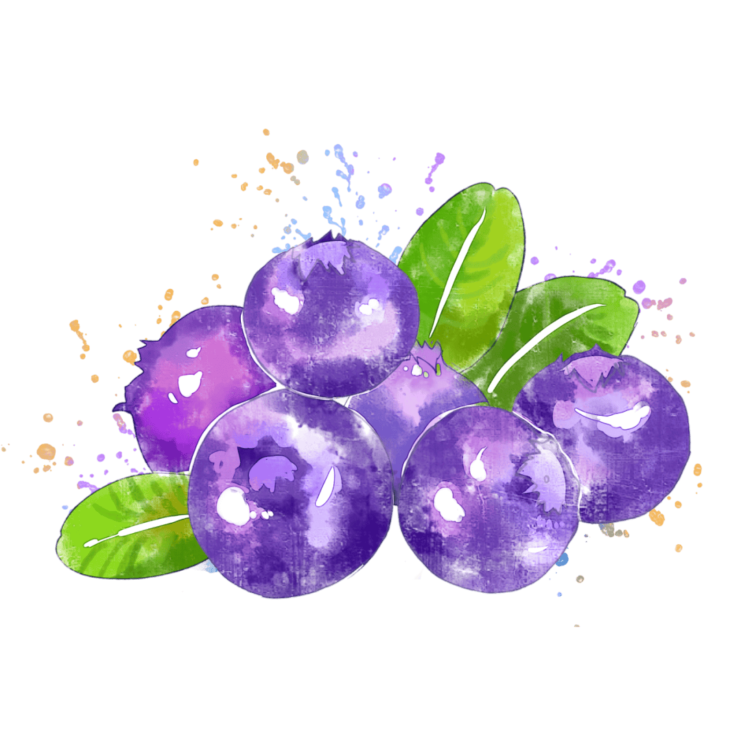 walkertq's tweet photo. [Fresh wild blueberries! Burst with natural sweetness u0026 juiciness—no added sugar, packed with antioxidants. Perfect for smoothies or snacking. Must-buy! ]， https://t.co/jDz310ELKf