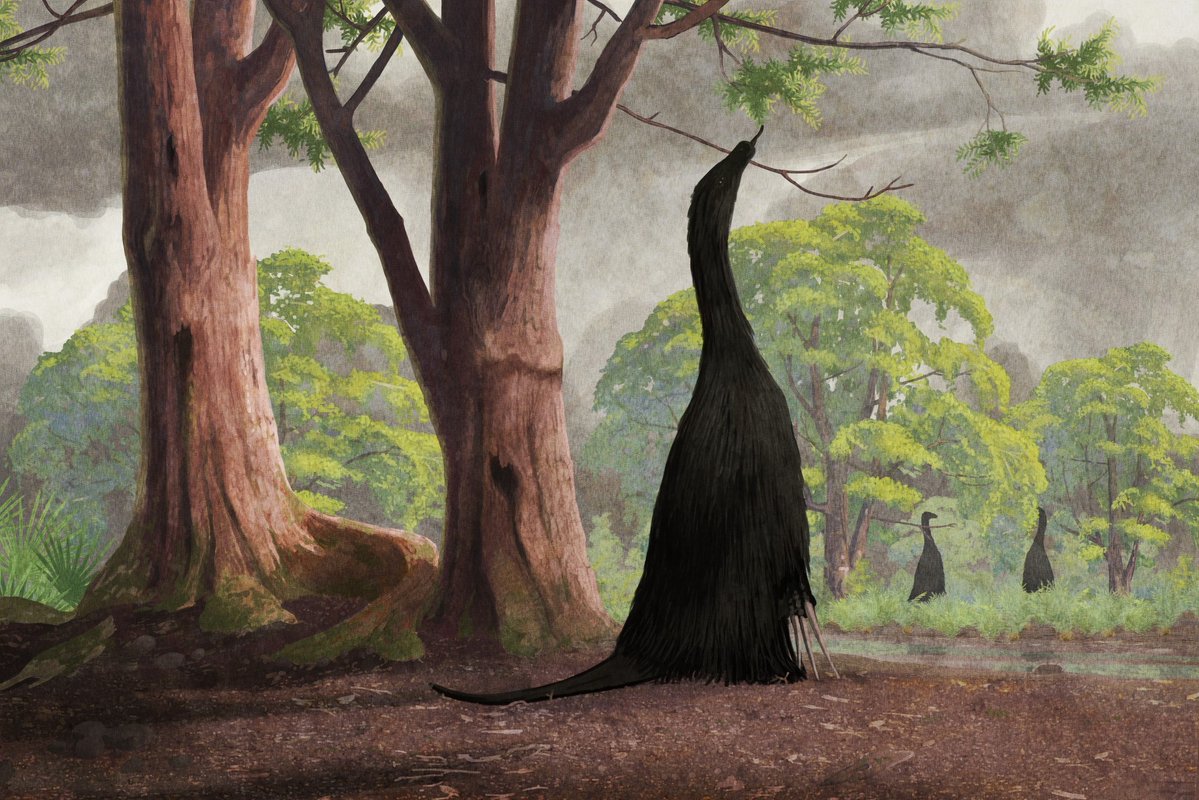 Zainprodution's tweet photo. All yesterdays by Darren Naish, C.M.Kosemen and John Conway
#sauriancore #paleoart https://t.co/OrnPNkbUQW