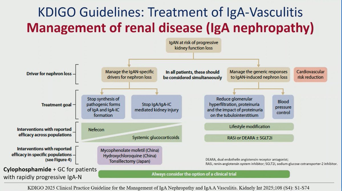 hanadymanasfi's tweet photo. #IgA #vasculitis renal disease https://t.co/6S5snOSoav