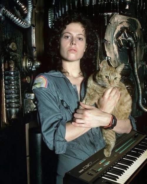 ComputerLove_'s tweet photo. Happy International Cat Day! https://t.co/a6puHYv0qA
