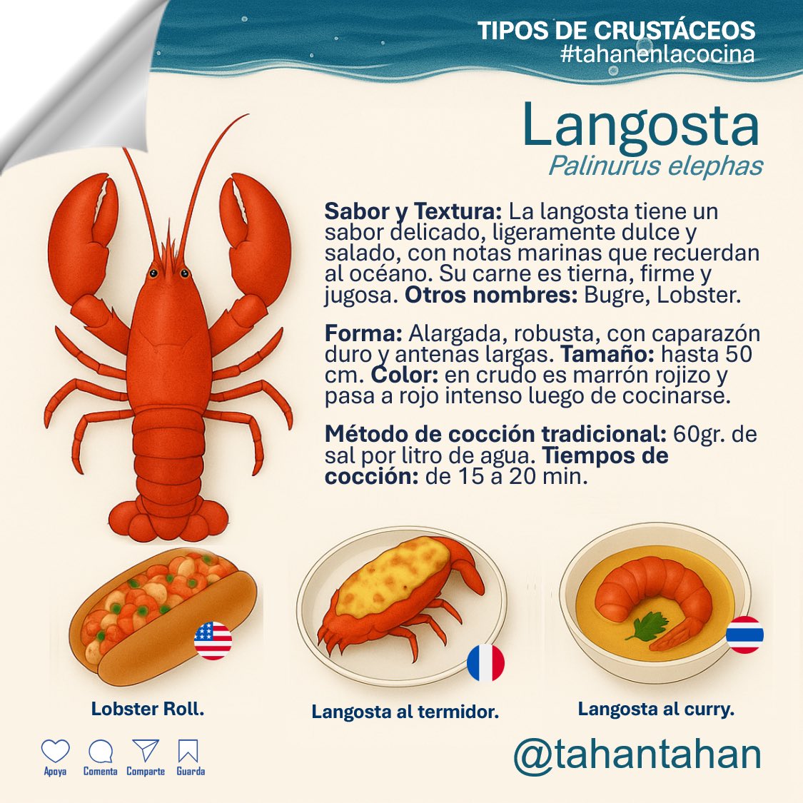 tahantahan's tweet photo. #tahanenlacocina Los #crustáceos tienen caparazón rígido y patas articuladas. Hablamos de #camarones, #langostas o #cangrejos. A diferencia de los moluscos tienen cuerpo blando y conchas. Los crustáceos no nadan como peces, ellos caminan y trepan en la superficie marina. #seafood https://t.co/b6TISC50m1