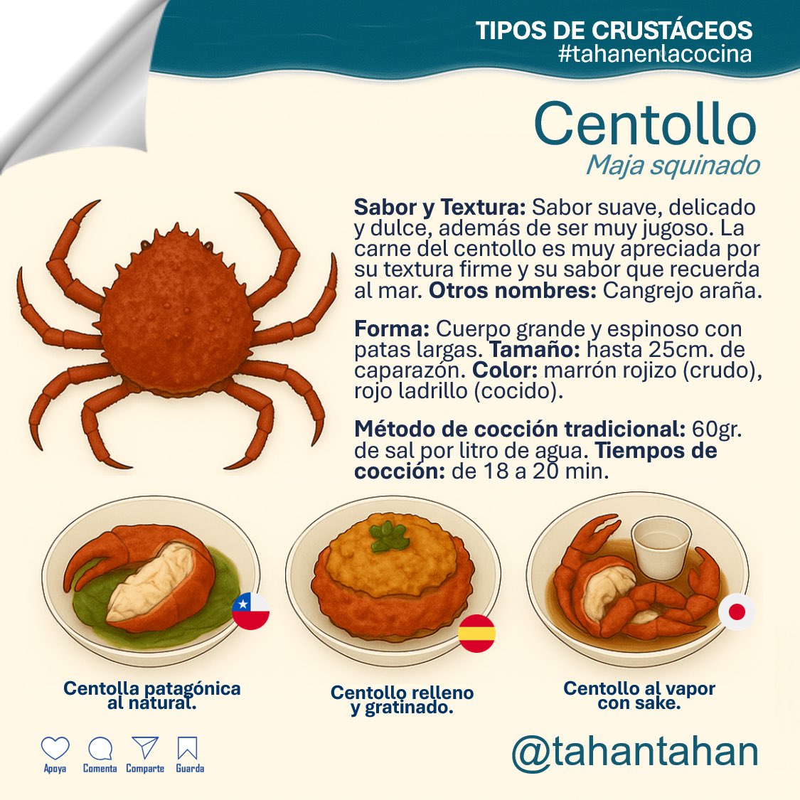 tahantahan's tweet photo. #tahanenlacocina Los #crustáceos tienen caparazón rígido y patas articuladas. Hablamos de #camarones, #langostas o #cangrejos. A diferencia de los moluscos tienen cuerpo blando y conchas. Los crustáceos no nadan como peces, ellos caminan y trepan en la superficie marina. #seafood https://t.co/b6TISC50m1