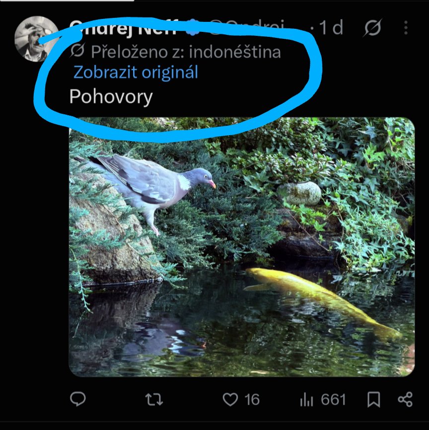 ohartvich's tweet photo. @OndrejNeff Indonésky pokec je česky pohovory 🙂... alespoň grok to říká https://t.co/ingCWuaFAB