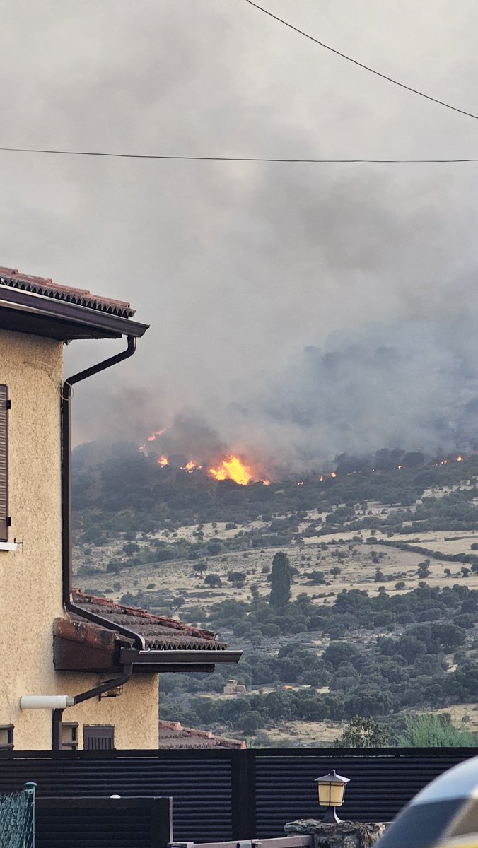 PabloKutavyz13's tweet photo. @OscarBForestal Desde Los Angeles de San Rafael. 21:15h
#IFNavasDeSanAntonio https://t.co/YHTZ7xVpD8